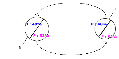 echantillon stratifie